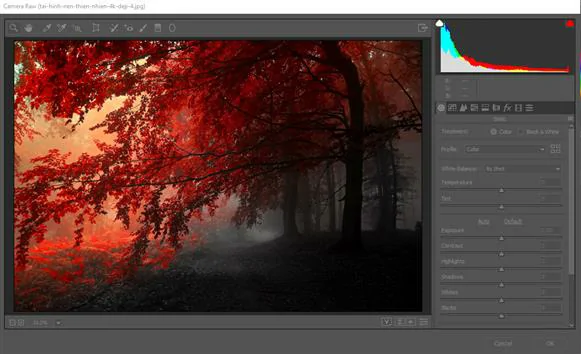 Hướng dẫn sử dụng camera Raw trong photoshop Hướng dẫn sử dụng camera Raw trong photoshop
