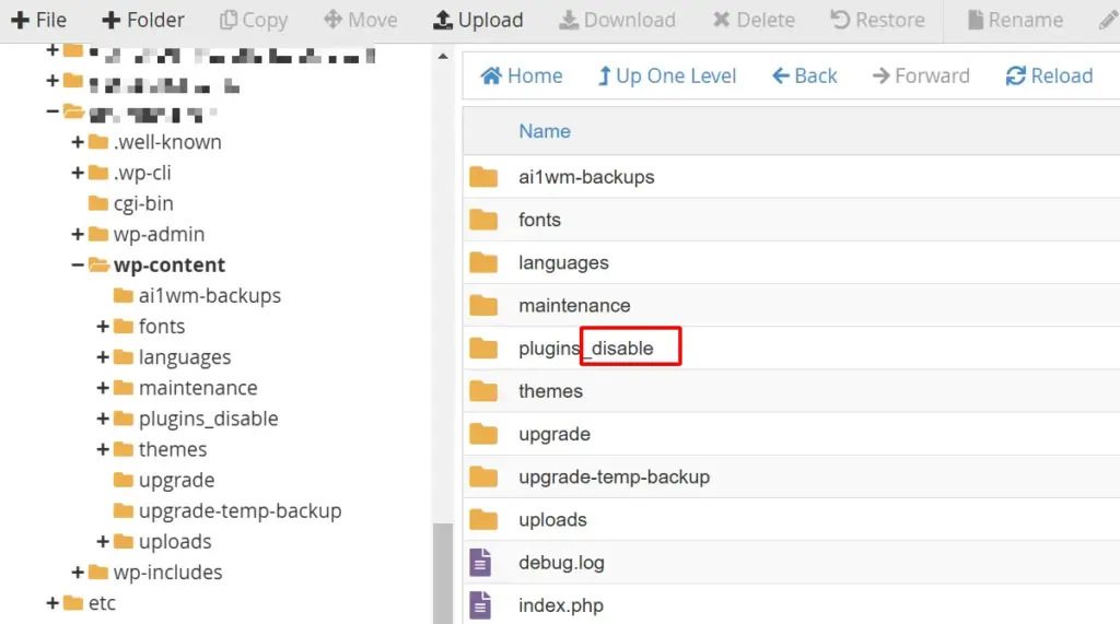 Hướng dẫn khắc phục ĐÃ CÓ MỘT LỖI NGHIÊM TRỌNG trên trang website của bạn